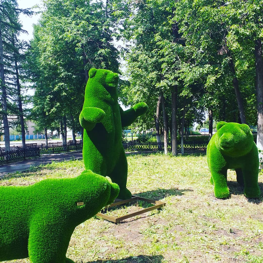 Зеленые медведи в парке